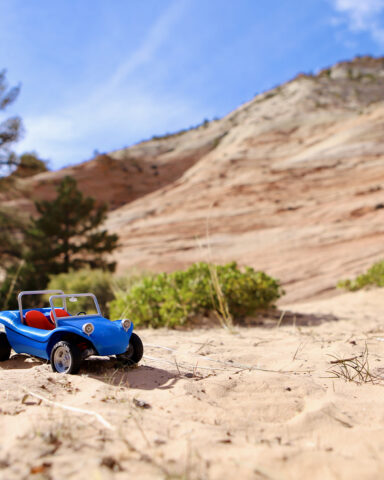 Sandy Mini Zion NP IMG 1791