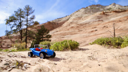 Sandy Mini Zion NP IMG 1791